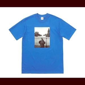 Supreme/UNDERCOVER/Public Enemy Royal Blue House